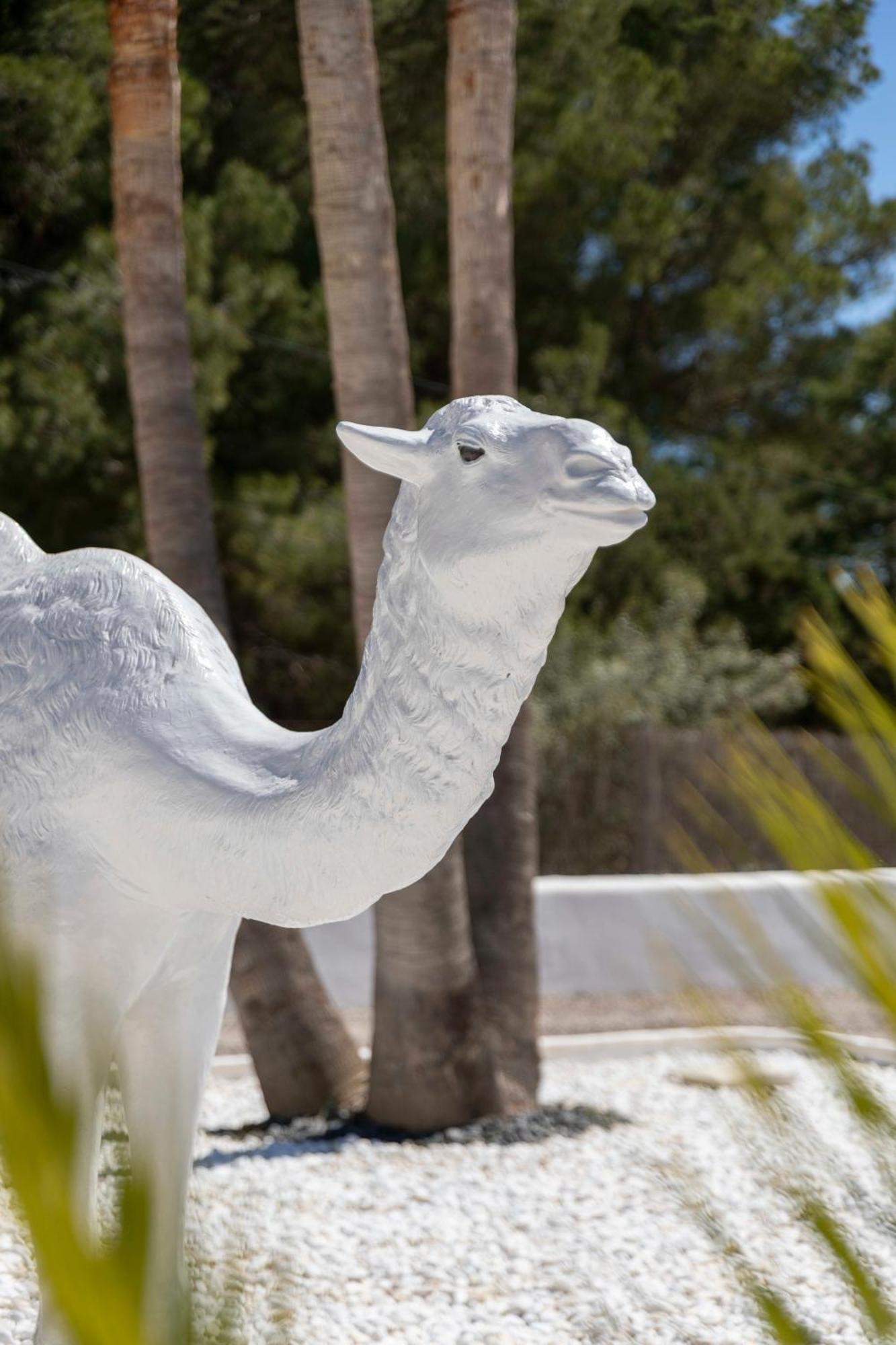 Villa Nivaria Sant Jordi de ses Salines Екстер'єр фото